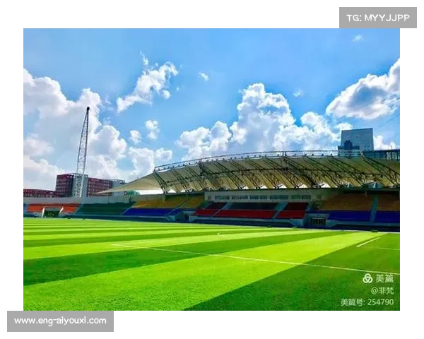 人工草硬地球道建设助力全国板球锦标赛标准场地打造与发展 人工草硬地球道建设助力全国板球锦标赛标准场地打造与发展